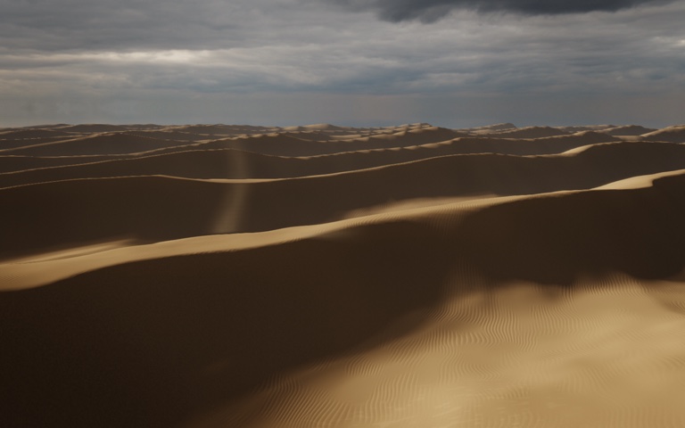Desert Dunes. The sand never stops moving.