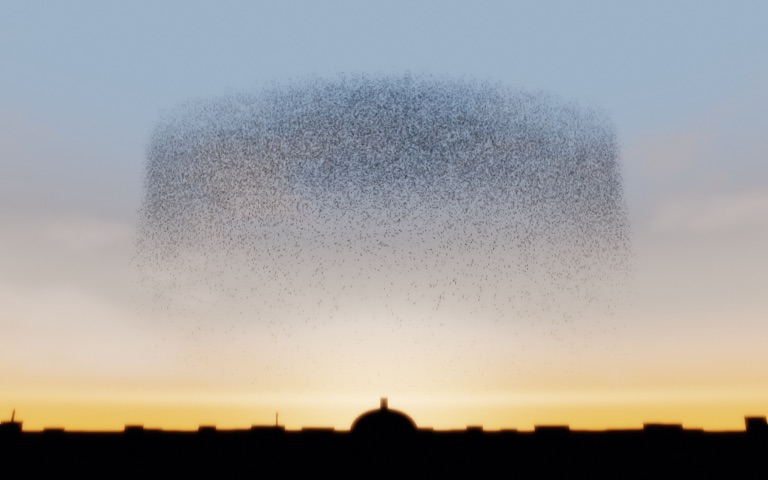 Murmuration