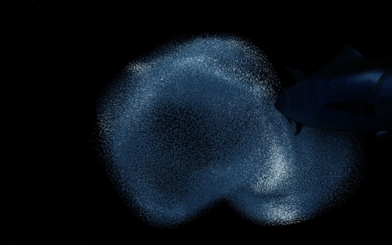 Night Shoal. The night is made of fish.
