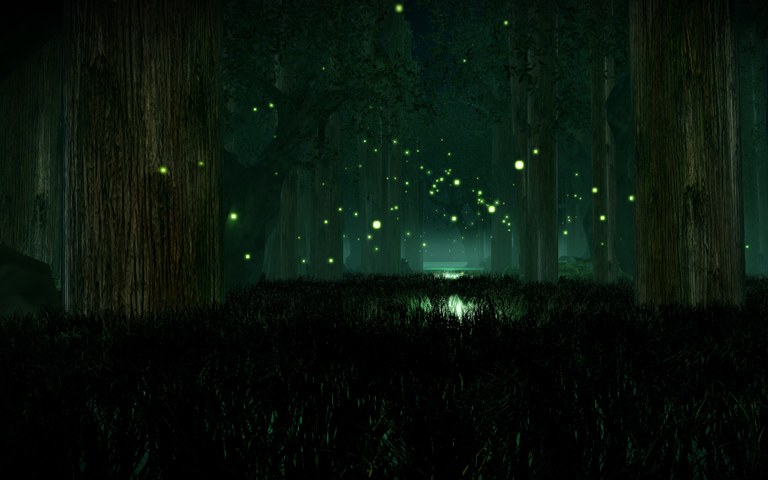 Wisplight. The forest is signalling.